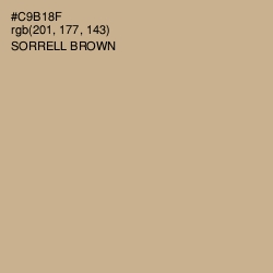 #C9B18F - Sorrell Brown Color Image